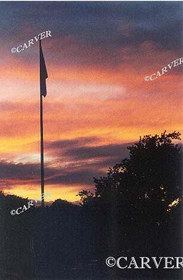 51036_daneset1