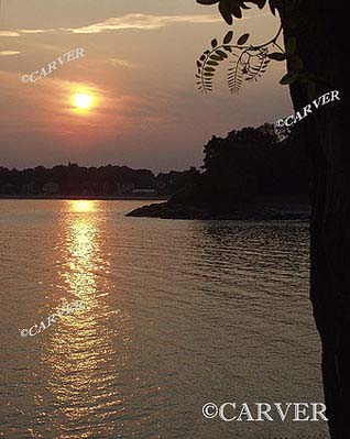 71017_P7264545c8x10