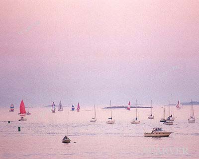 71021_pinkbeachc10x8