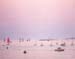 71021_pinkbeachc10x8