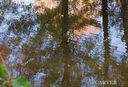 Filename=PA205775.jpg
Filesize=91KiB
Dimensions=423x288
Date added=Mar 13, 2008 PA205775.jpg