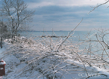 A Chilled View
From Hale St. in Beverly. Looking out over a cold Atlantic Ocean.
Keywords: winter; Beverly; snow; ice; beach; ocean; photograph; picture; print