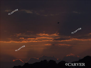 Fire in the Sky
The sun setting below dark and heavy clouds forms a bright
orange line.  From OBear park in Beverly, MA.
(a close-up of the same sunset as photo "Shining Pillar)
Keywords: sunset; cloud; pillar; obear; park; Beverly; art; photograph; picture; print