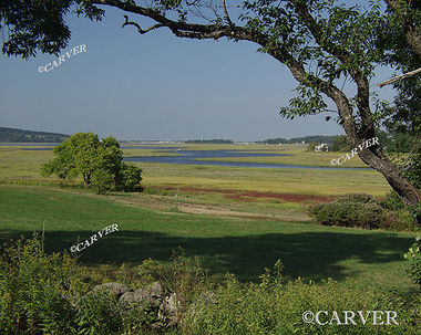 Cox Reservation Essex, MA 
On a steamy summer day this view looks out over the Essex River.
Keywords: Cox Reservation;Essex river;photograph;picture;summer