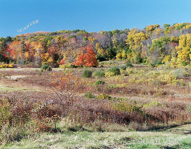 Death Valley - Topsfield
The locals sure have a curious name for this place.
Keywords: Autumn; foliage; Topsfield; red; trees; photograph; picture; print