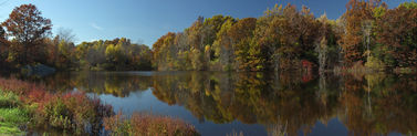 Autumn Pond
Fall colors reflected 
