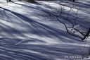 Filename=PC086296.jpg
Filesize=135KiB
Dimensions=635x423
Date added=Mar 13, 2008 PC086296.jpg