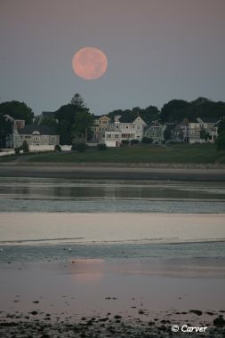 Blue Moonset
A summer blue moon sets with Beverly's Independence Park in the foreground. (A "Blue Moon" is the second full moon falling in a single calendar month - it never turns blue!) 
Keywords: Blue Moon;Moonset;Beverly