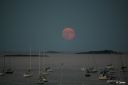 Rise_of_the_Blue_Moon_2800.JPG