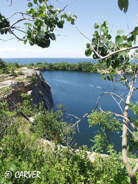 Halibut Point
